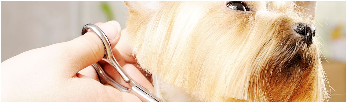 imagen_peluqueria01