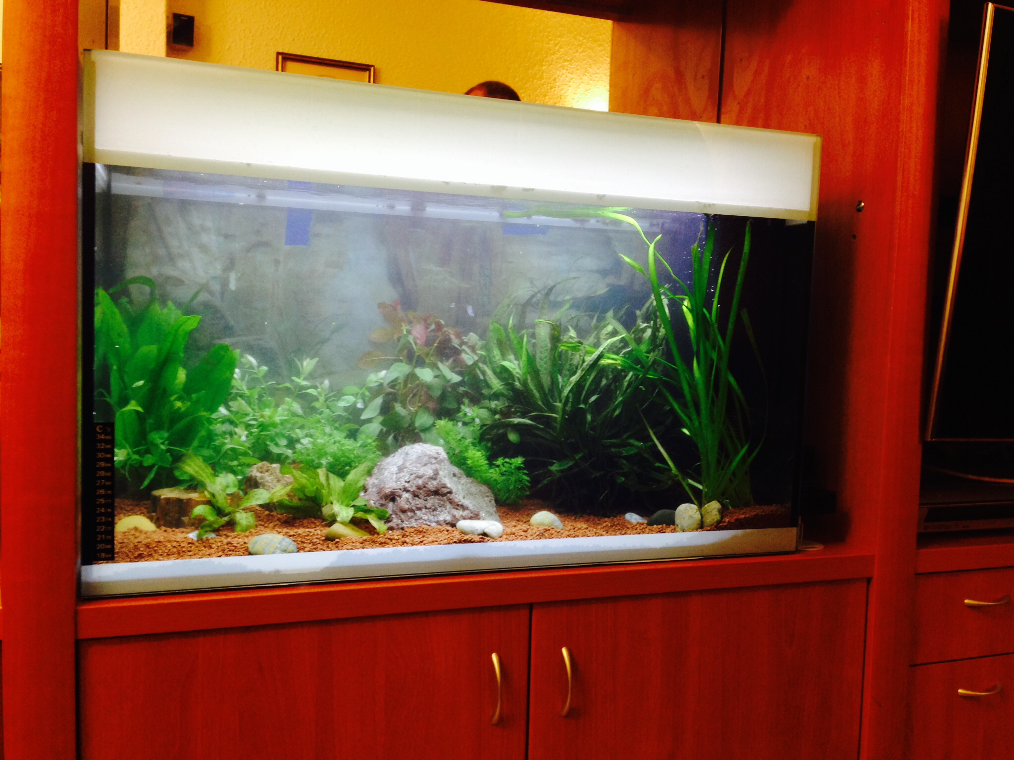 aqualuxblmuebleLLEFIA